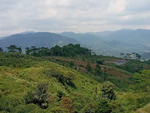 WhatsApp Image 2025-09-18 at 12.45.41 (1)