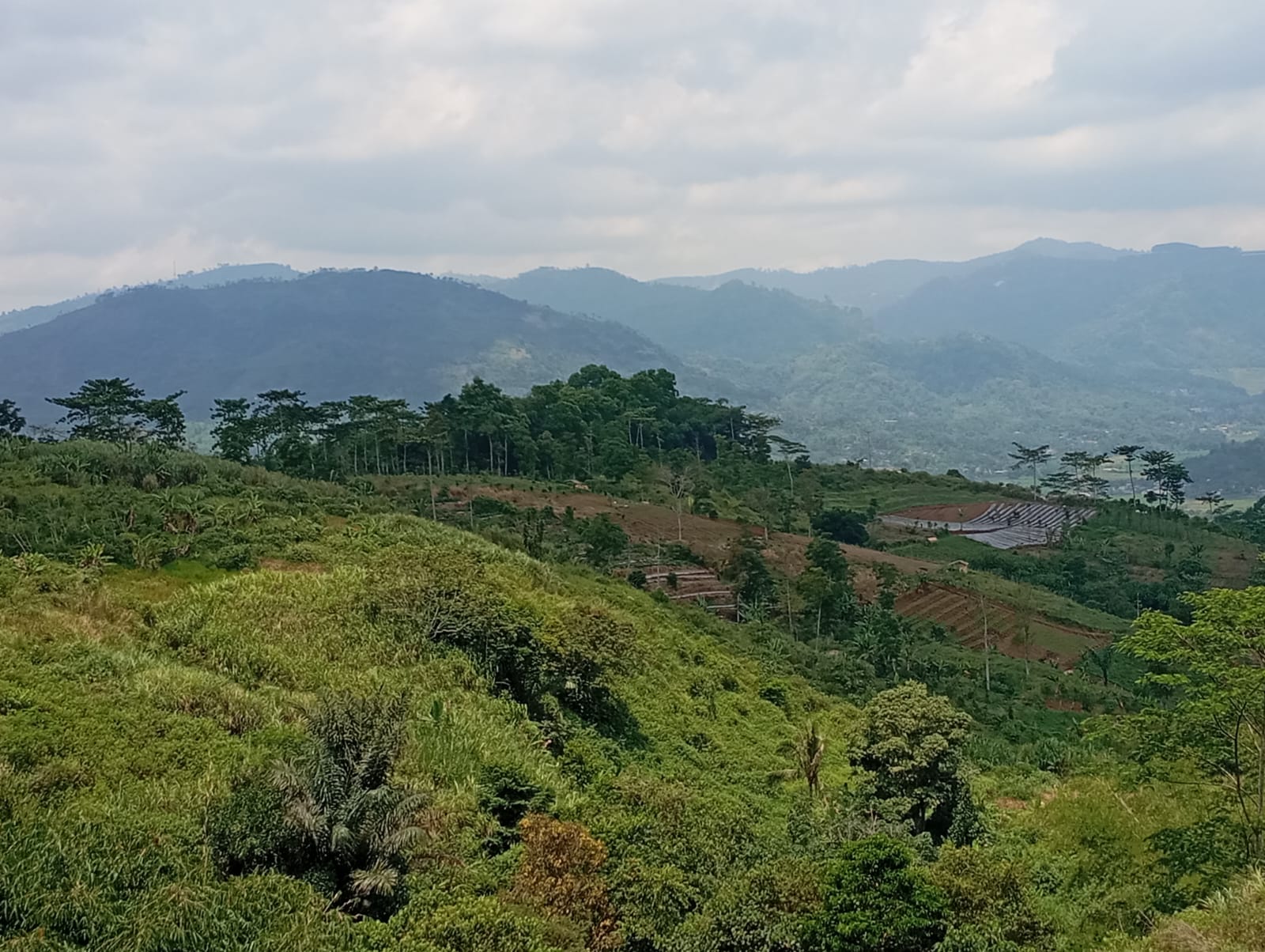 WhatsApp Image 2025-09-18 at 12.45.41 (1)